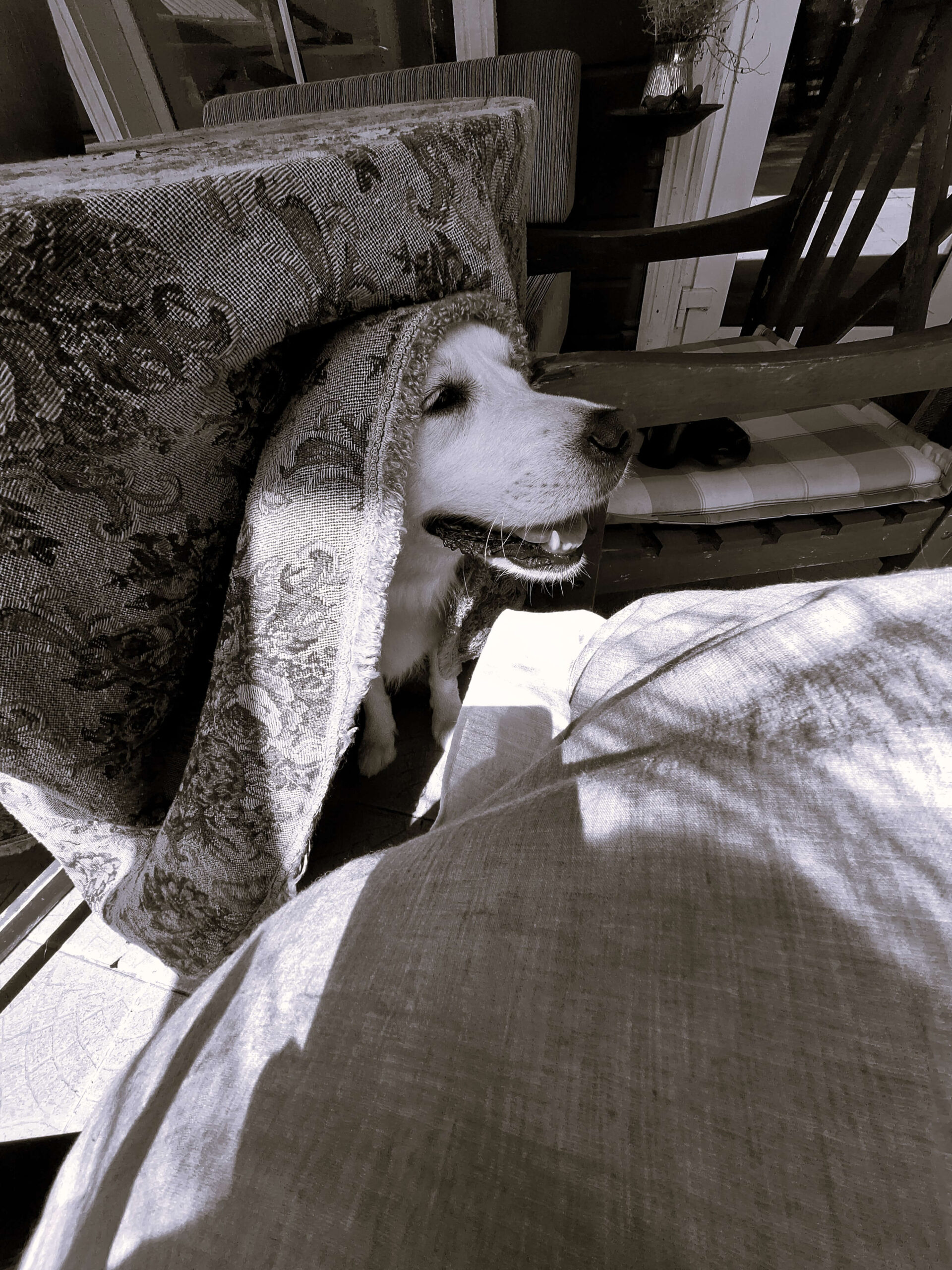 SMKA suvažiavimas-konferencija 2025