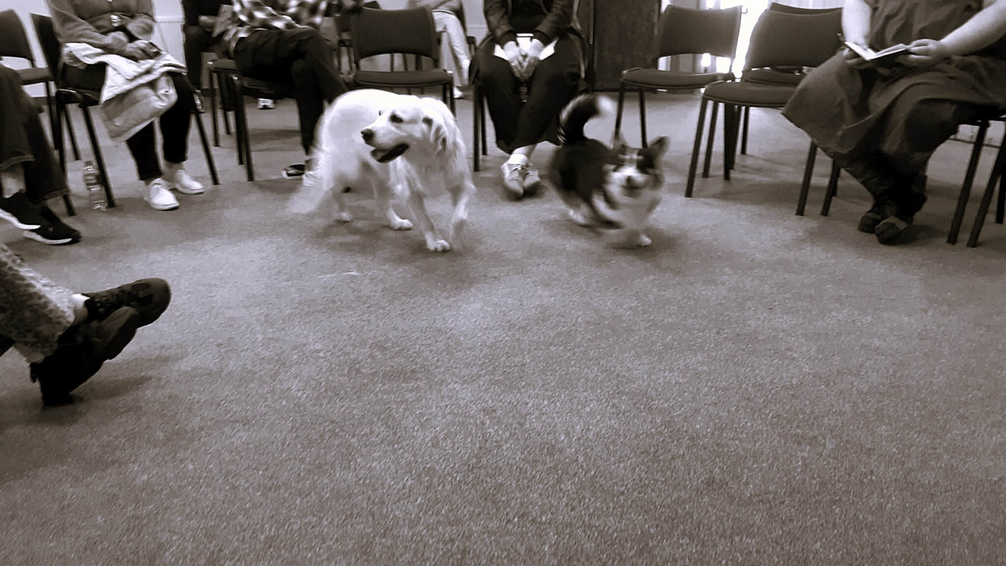 SMKA suvažiavimas-konferencija 2025